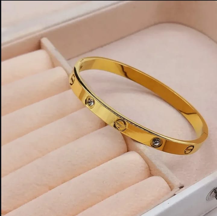 Elegant Stainless Steel Bangle